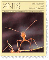 The Ants by Wilson and Hölldobler