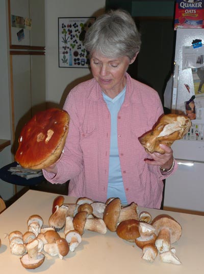Shirley Dallas and her mushrooms